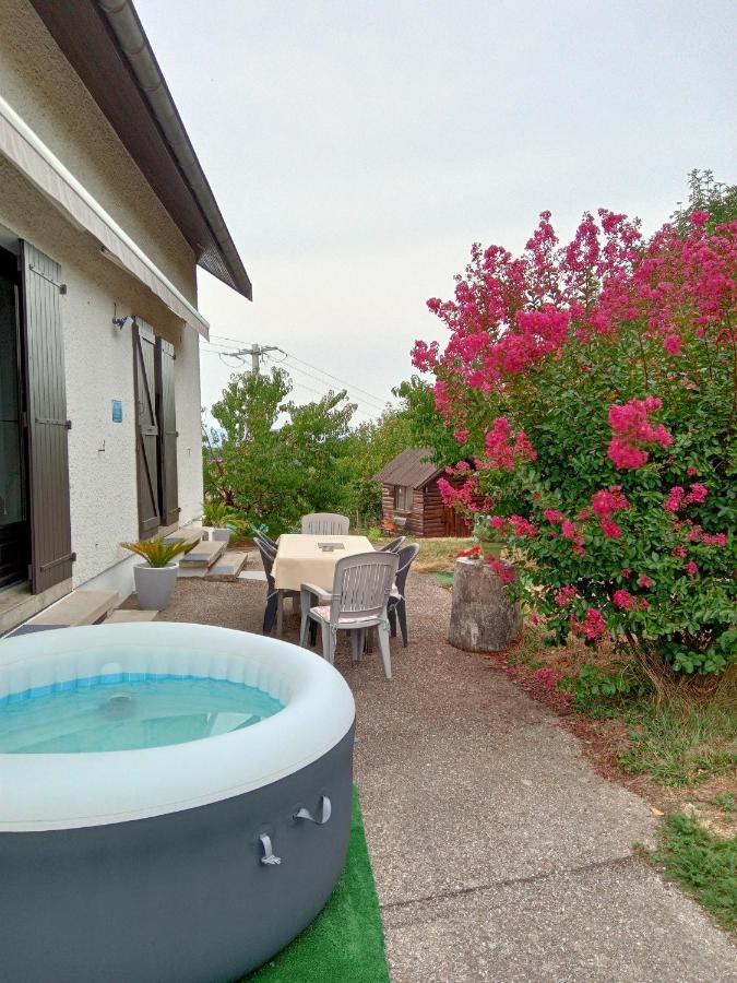 Villa Détente Dauphinoise Saint-Andre-le-Gaz Exterior foto